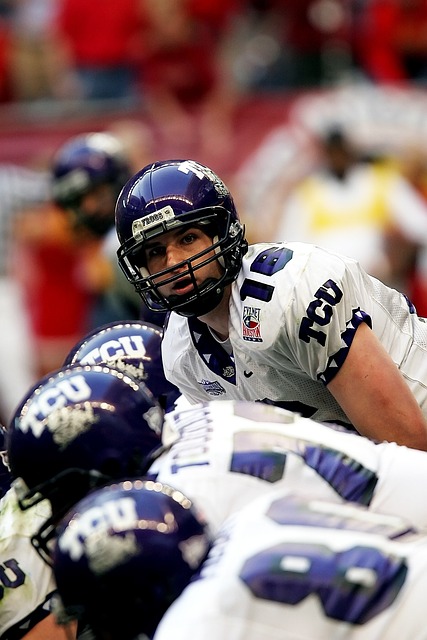 以其敏锐的 以其敏锐的