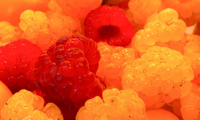 战术胜利的 战术胜利的