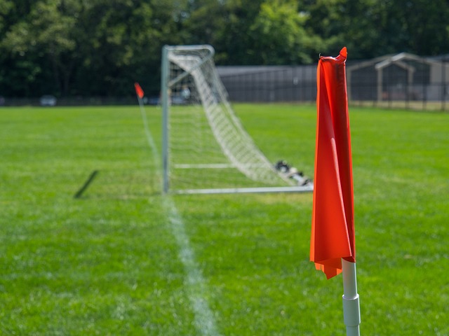 争力与活力 争力与活力