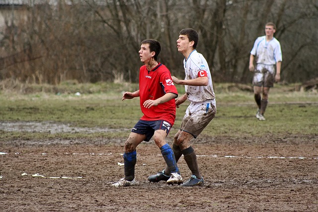 双向能力 双向能力