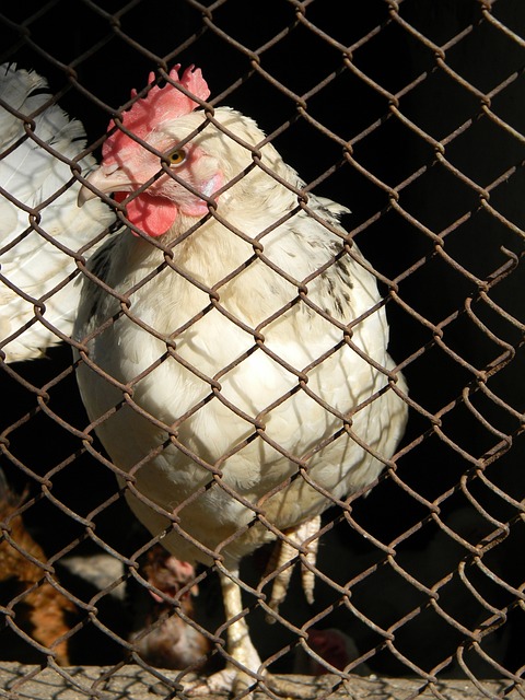 总结来说 总结来说