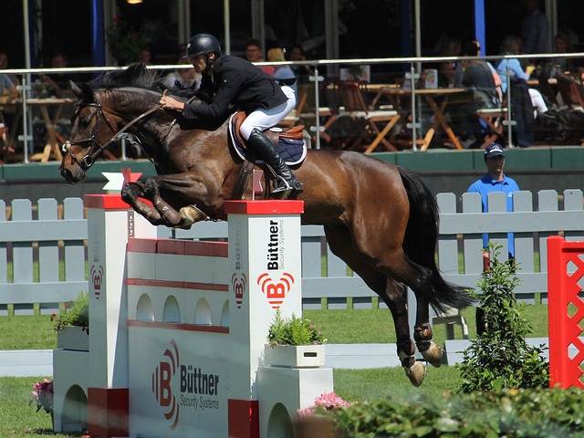 经历中找到 经历中找到