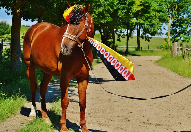 样的情况在 样的情况在
